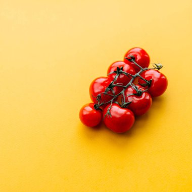 Sarı yüzeyde bir dal vişneli domates.