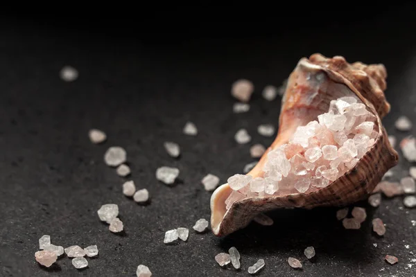 Pink Himalayan rock salt in a shell on a black table Royalty Free Stock Images