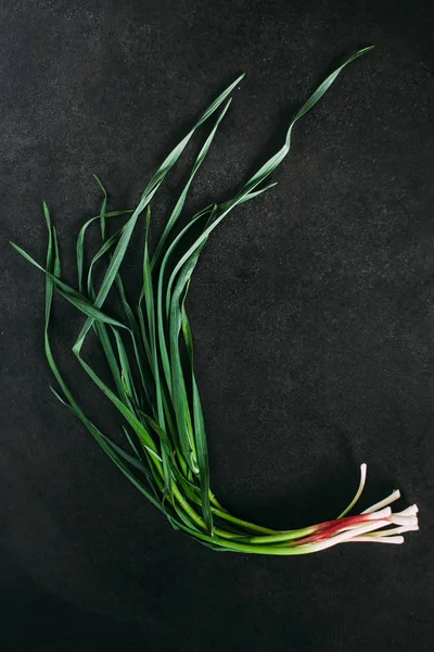 Green onions on black granite — 스톡 사진