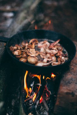 Kızarmış mantar ve pastırma ormanda ateşte bir tavada. Doğada yiyecek. Yolda yemek pişirmek. Piknik