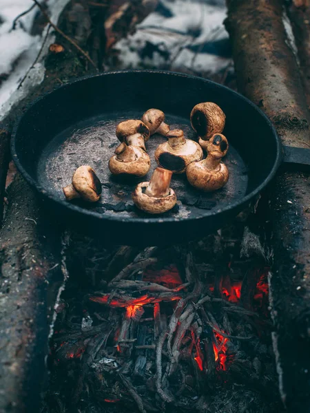 Fried Mushrooms Pan Forest Fried Food Nature Picnic Winter Forest — Stock Photo, Image