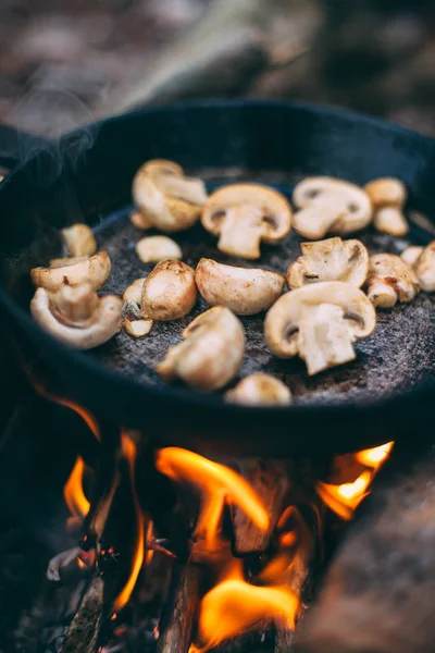 Fried Mushrooms Pan Forest Fried Food Nature Picnic Winter Forest — Stock Photo, Image