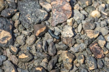 Güneşli bir günde gri taşların arkaplanı