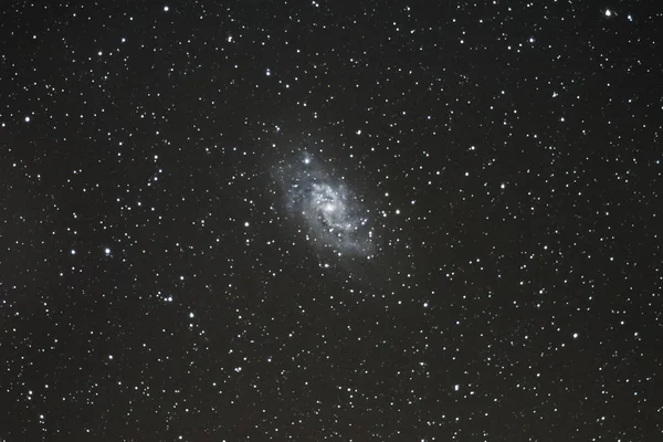 Una Vista Triangulum Galaxy M33 Una Asombrosa Galaxia Espiral Dentro — Foto de Stock