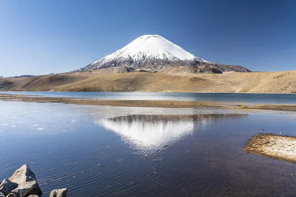 Volcán Parinacota Sobre Horizonte Sobre Las Aguas Del Lago Chungara — Foto de Stock