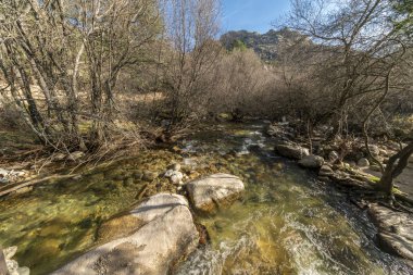İspanyol kırsalındaki Guadarrama Milli Parkı 'ndaki La Pedriza ormanlarının içindeki ağaçların arasından akan Manzanares nehir suyu akıntısı dağlardaki inanılmaz ve cennet gibi bir çevreye sahiptir.