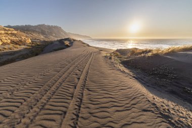 Orta Şili 'deki Matanza' daki Vega Pupuya plajı inanılmaz bir kumsal. İnanılmaz dalgaları ve inanılmaz vahşi doğasıyla güzel bir seyahat yeri.