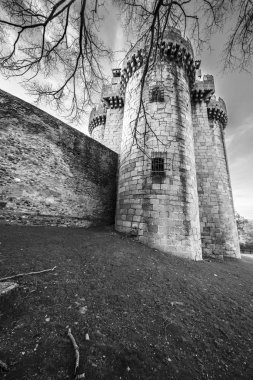 Ortaçağ 'dan kalma muhteşem ve terk edilmiş bir şatonun manzarası. 