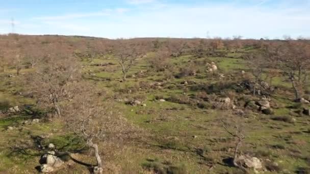 Verbazingwekkende Rotsen Kale Bomen Boven Lagune Van Extremadura Buitenlucht Grasvelden — Stockvideo