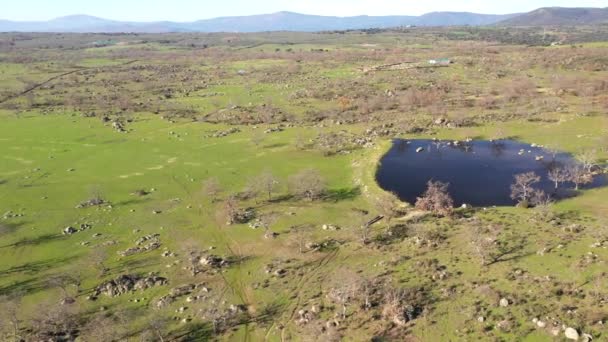 Fantastiska Klippor Och Kala Träd Över Lagunen Vid Extremadura Regionen — Stockvideo