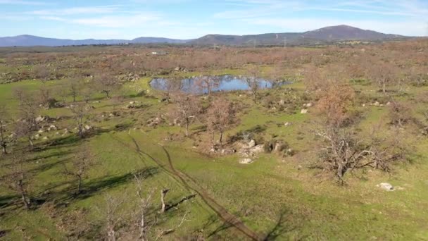 Niesamowite Skały Gołe Drzewa Nad Laguną Regionie Estremadura Świeżym Powietrzu — Wideo stockowe