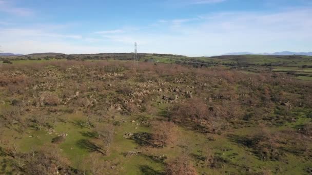 Increíbles Rocas Los Árboles Desnudos Sobre Laguna Región Extremadura Aire — Vídeo de stock
