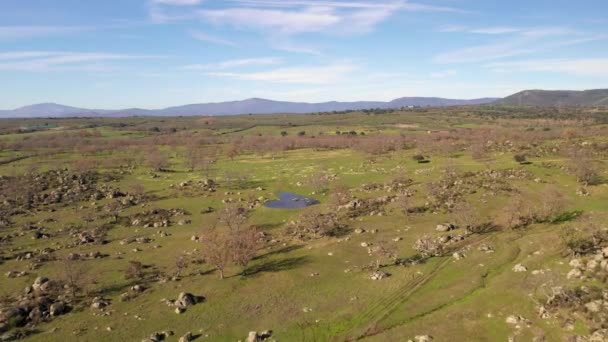 Increíbles Rocas Los Árboles Desnudos Sobre Laguna Región Extremadura Aire — Vídeo de stock