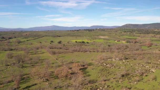 在埃斯特雷马杜拉地区的泻湖上 在西班牙农村的草原 橡树上 岩石奇形怪状 树木光秃秃 — 图库视频影像
