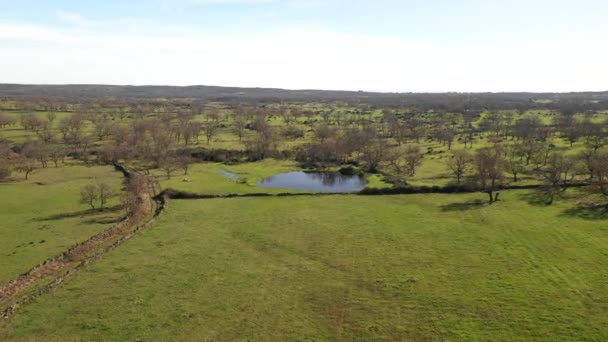 Rochas Incríveis Árvores Nuas Sobre Lagoa Região Estremadura Livre Campos — Vídeo de Stock