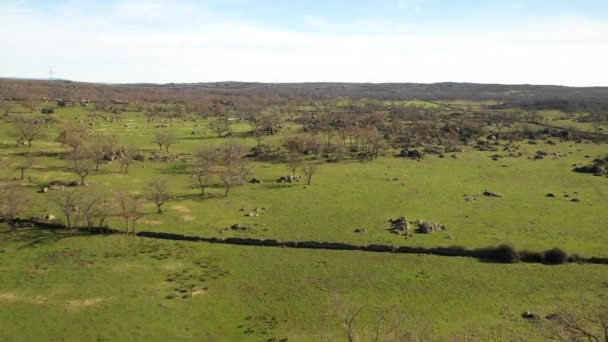 Verbazingwekkende Rotsen Kale Bomen Boven Lagune Van Extremadura Buitenlucht Grasvelden — Stockvideo