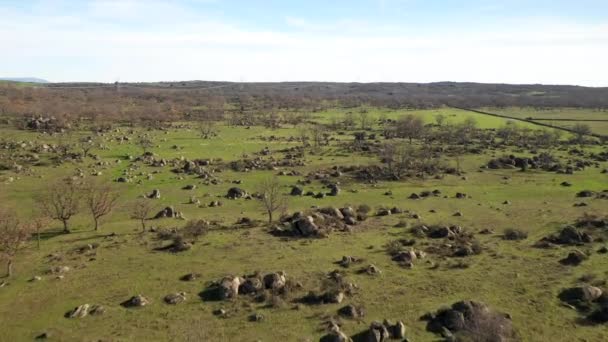 Rochers étonnants et les arbres nus sur le lagon de la région Estrémadure à l'extérieur, prairies, lagunes, chênes dans les champs agricoles de la campagne Espagne 