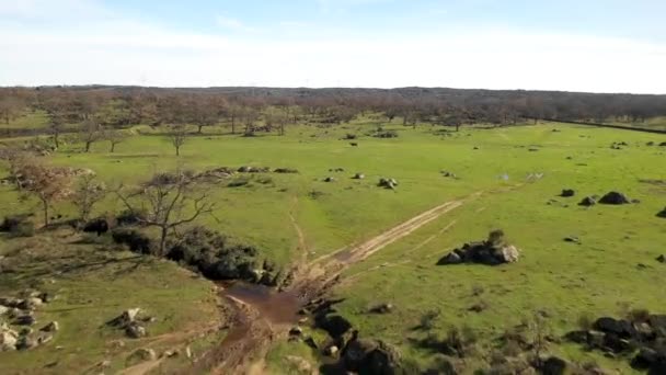 Rochers étonnants et les arbres nus sur le lagon de la région Estrémadure à l'extérieur, prairies, lagunes, chênes dans les champs agricoles de la campagne Espagne 
