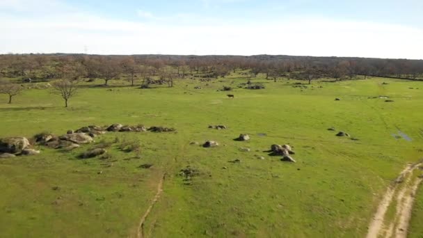 Rochers étonnants et les arbres nus sur le lagon de la région Estrémadure à l'extérieur, prairies, lagunes, chênes dans les champs agricoles de la campagne Espagne 