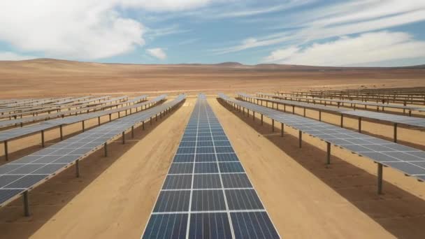 Imágenes Aéreas Cientos Módulos Energía Solar Filas Paneles Largo Las — Vídeo de stock