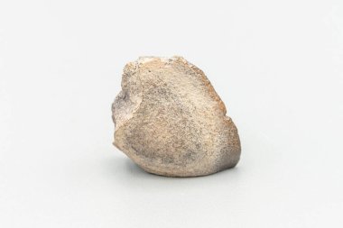 Meteor parçası beyaz arkaplanda izole edildi