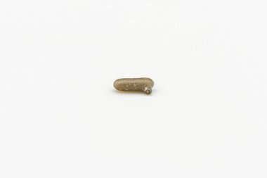 Meteor parçası beyaz arkaplanda izole edildi