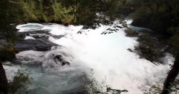 Pucon Salto Del Carileufu Водопады Пуконе Удивительный Дикий Пейзаж Природный — стоковое видео