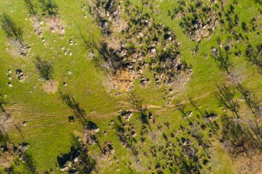 Extremadura bölgesinde bulduğumuz inanılmaz 