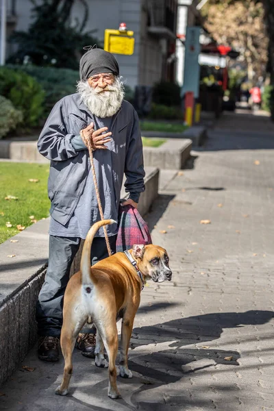 サンティアゴ国 チリ2 5月2020実際のホームレスの人々は コロナウイルス病Covid 19ロックダウン中にProvidencia通りで犬と一緒に脆弱で心配し 放棄されました — ストック写真