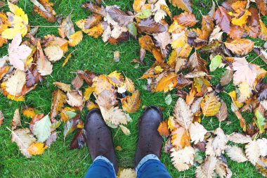 sonbahar yağmurlu gün