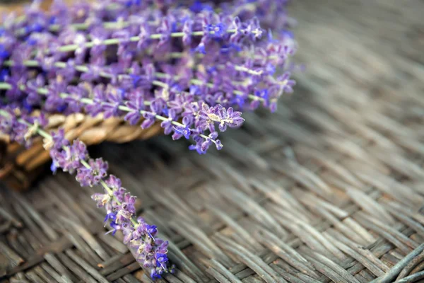 Lavendel im Korb — Stockfoto