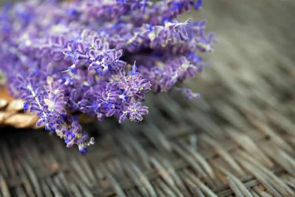 Lavendel im Korb — Stockfoto