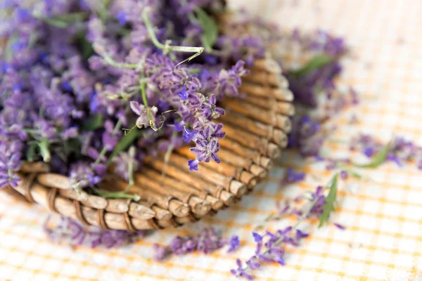 Lavendel im Korb — Stockfoto