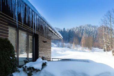 Güzel kış manzarası