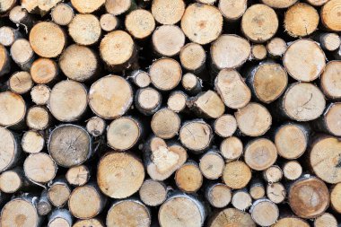 yakacak odun closeup kesmek