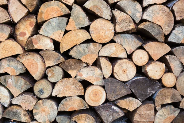 Cut firewood closeup — Stock Photo, Image