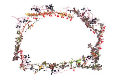 Sonbahar Çiçek Arkaplanı