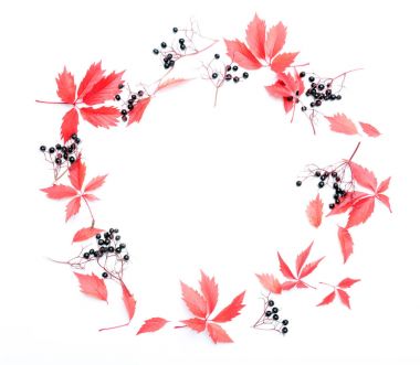 Sonbahar Çiçek Arkaplanı