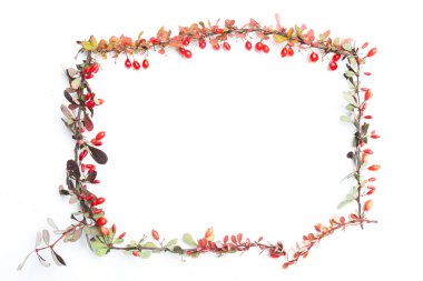 Sonbahar Çiçek Arkaplanı