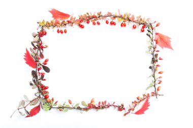 Sonbahar Çiçek Arkaplanı