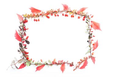 Sonbahar Çiçek Arkaplanı