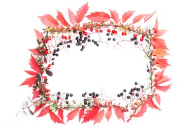 Sonbahar Çiçek Arkaplanı