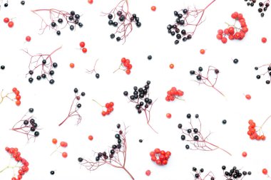 Sonbahar Çiçek Arkaplanı