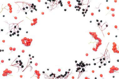 Sonbahar Çiçek Arkaplanı