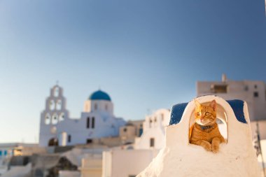 Kırmızı kedi rahatlatıcı