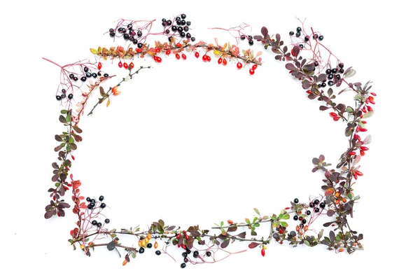 Sonbahar Çiçek Arkaplanı