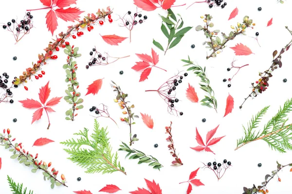 Sonbahar Çiçek Arkaplanı