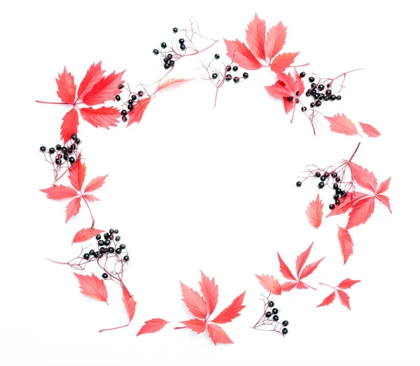 Sonbahar Çiçek Arkaplanı