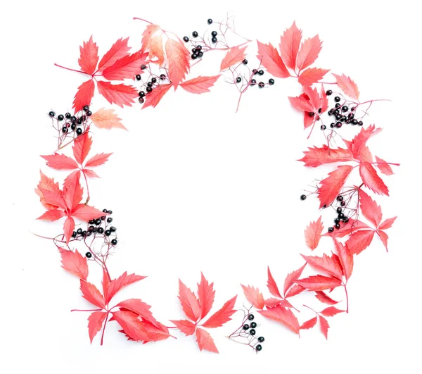 Outono fundo floral — Fotografia de Stock