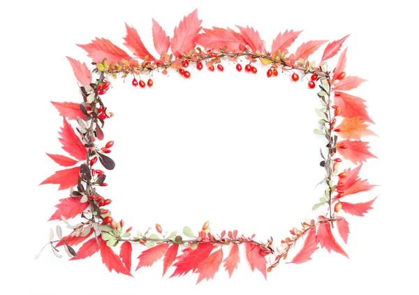 Sonbahar Çiçek Arkaplanı